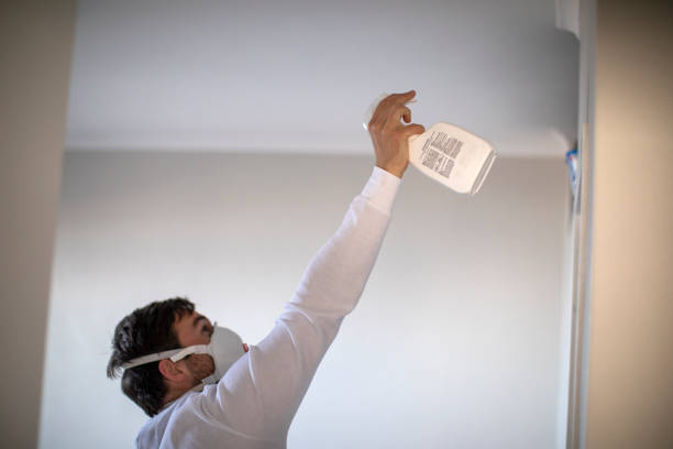 Best Crawl Space Mold Removal  in Sto Brook University, NY